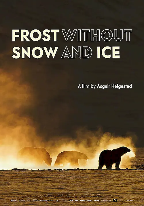Poster for Frost Without Snow and Ice
