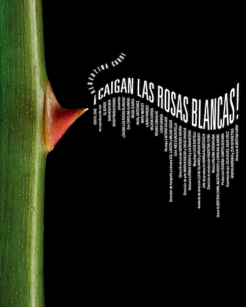 Poster for Caigan las rosas blancas