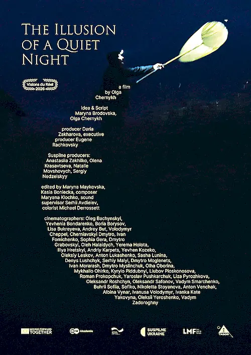 Poster for The Illusion Of A Quiet Night