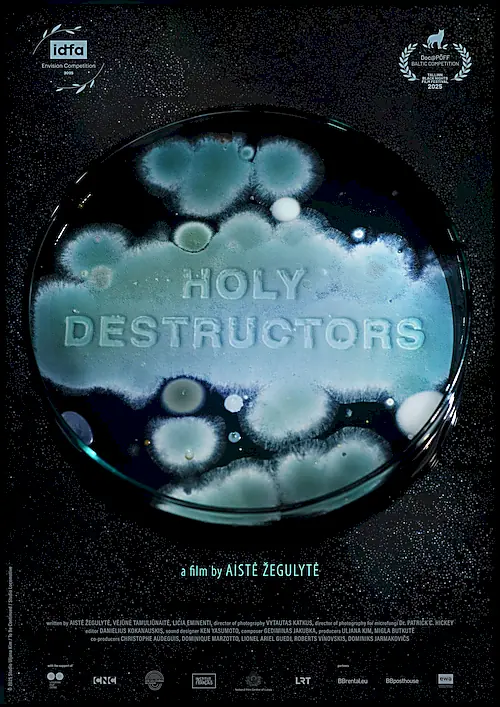 Poster for Holy Destructors