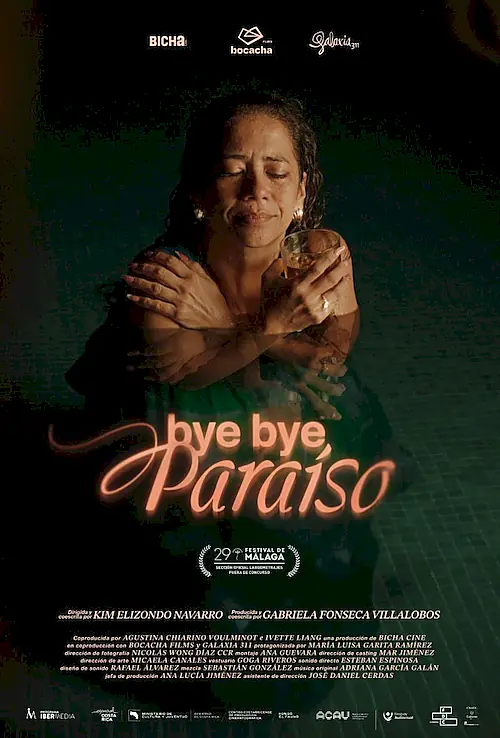 Poster for Bye Bye Paraíso