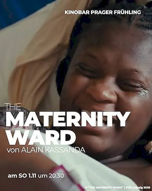 Poster for The Maternity Ward