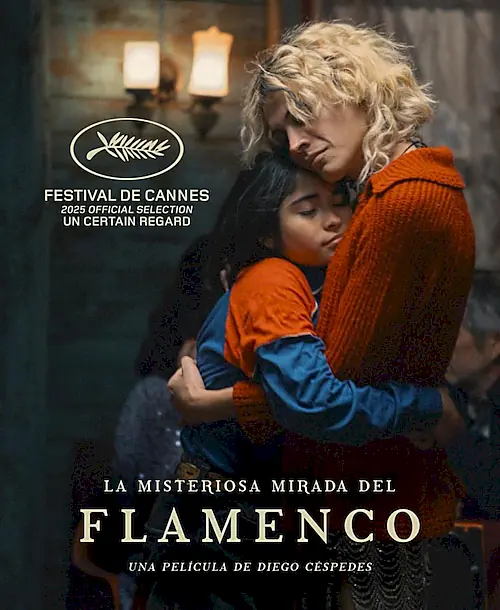 Poster for La misteriosa mirada del flamenco